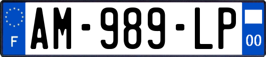 AM-989-LP
