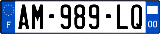 AM-989-LQ