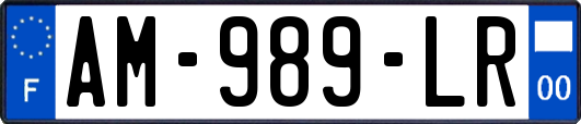AM-989-LR