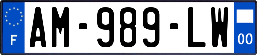AM-989-LW