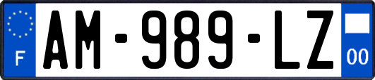 AM-989-LZ