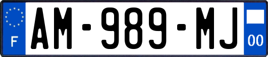 AM-989-MJ