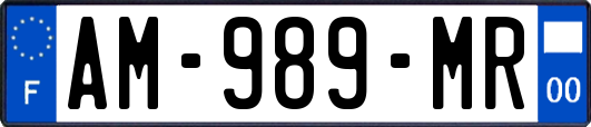 AM-989-MR