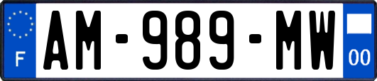 AM-989-MW