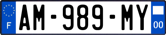 AM-989-MY