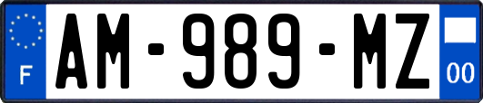 AM-989-MZ