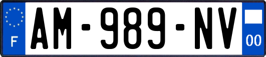 AM-989-NV