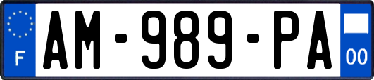 AM-989-PA