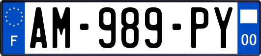 AM-989-PY