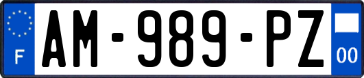 AM-989-PZ