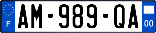 AM-989-QA