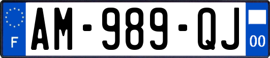 AM-989-QJ
