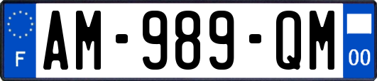 AM-989-QM