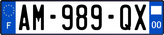 AM-989-QX