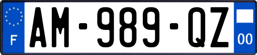 AM-989-QZ