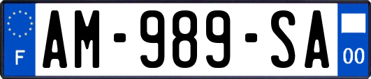 AM-989-SA