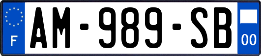 AM-989-SB