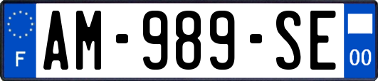 AM-989-SE