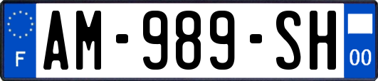 AM-989-SH