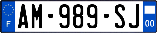 AM-989-SJ