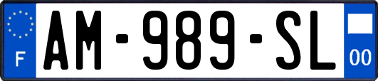 AM-989-SL