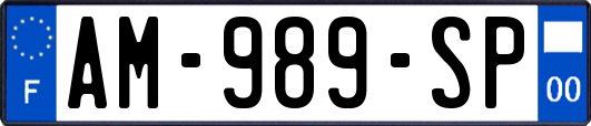 AM-989-SP