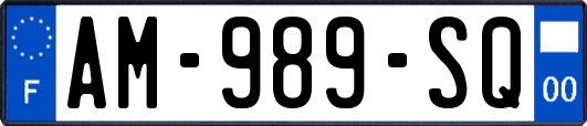 AM-989-SQ