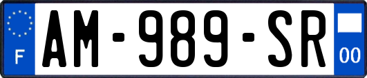 AM-989-SR