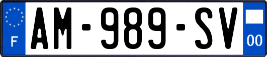 AM-989-SV