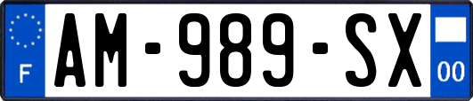 AM-989-SX