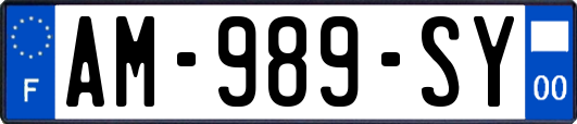 AM-989-SY