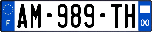 AM-989-TH