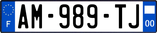 AM-989-TJ