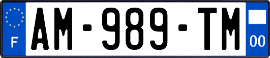 AM-989-TM