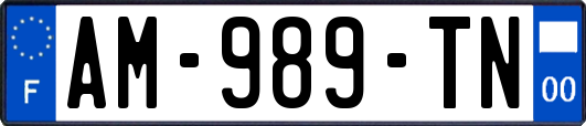 AM-989-TN