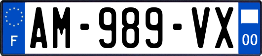 AM-989-VX