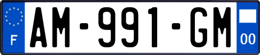 AM-991-GM