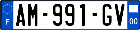 AM-991-GV