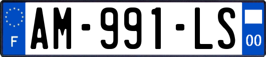 AM-991-LS