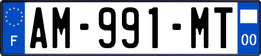 AM-991-MT