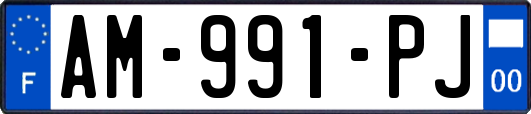 AM-991-PJ