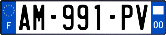 AM-991-PV