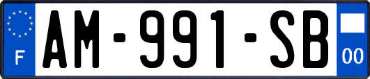AM-991-SB
