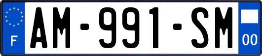 AM-991-SM