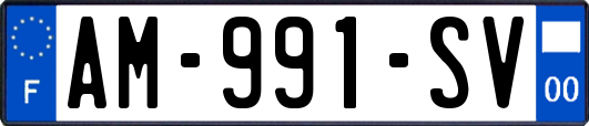 AM-991-SV