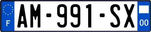 AM-991-SX