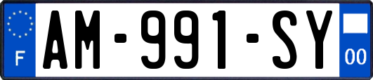 AM-991-SY