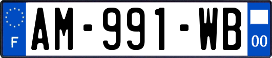 AM-991-WB