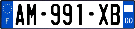 AM-991-XB