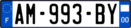 AM-993-BY